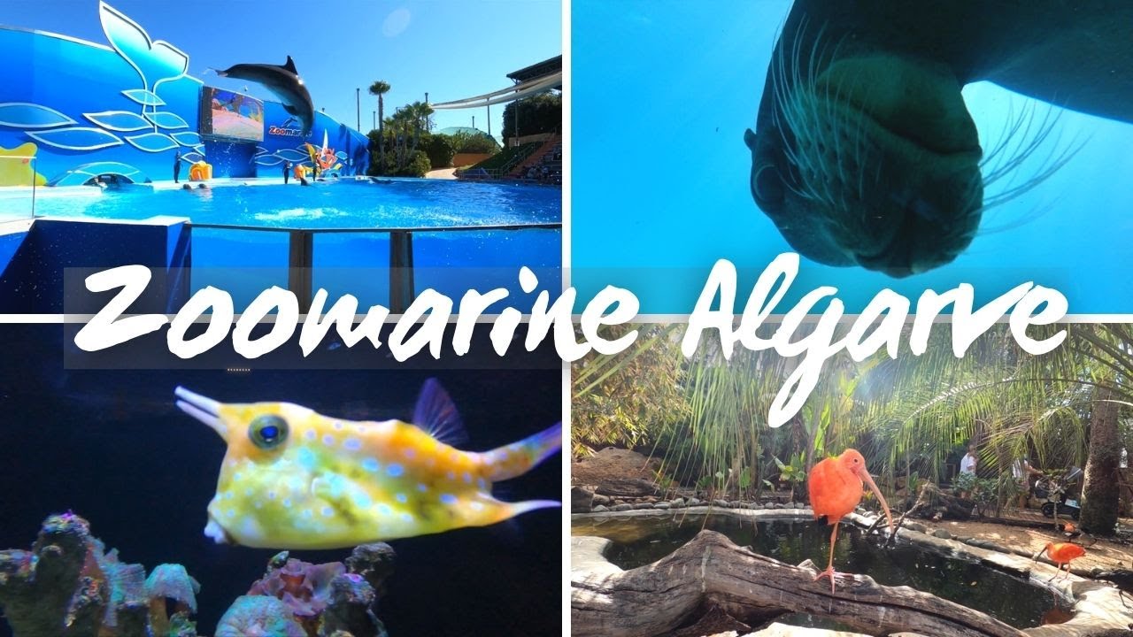 🇵🇹Zoomarine Algarve Vlog