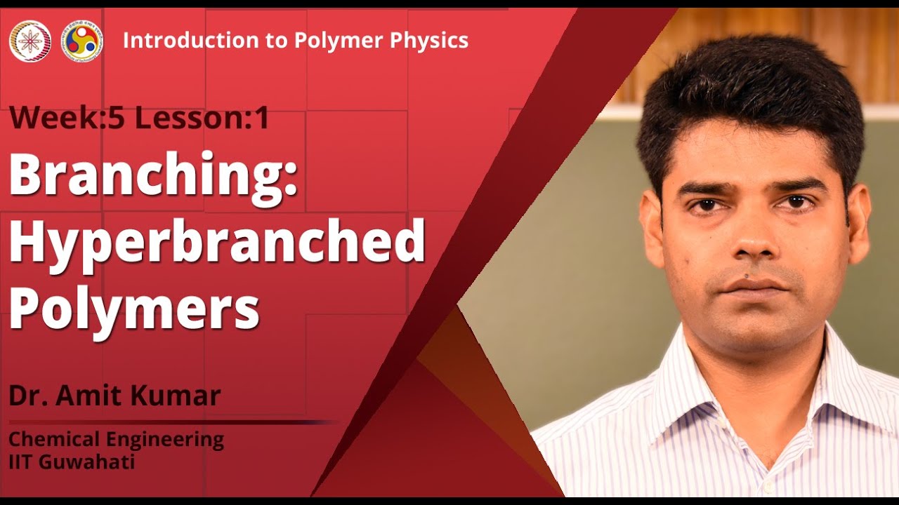 Branching: Hyper-branched Polymers