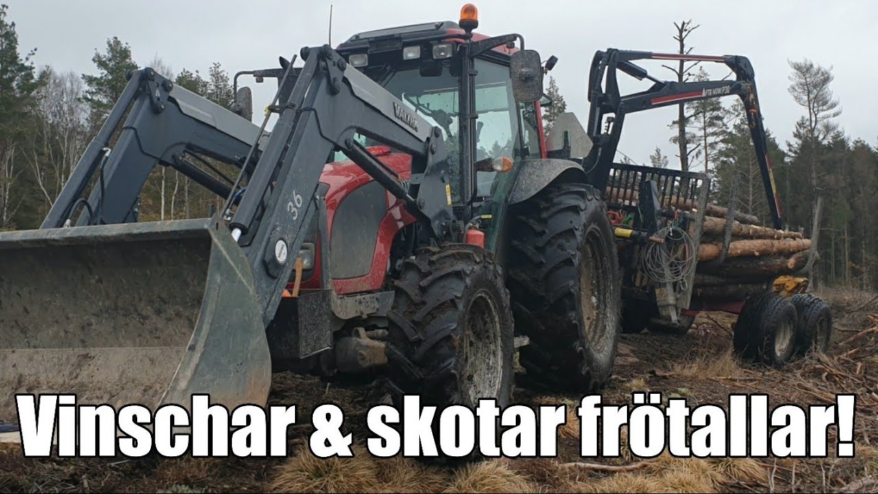 Vinschar & skotar stormfällda frötallar!