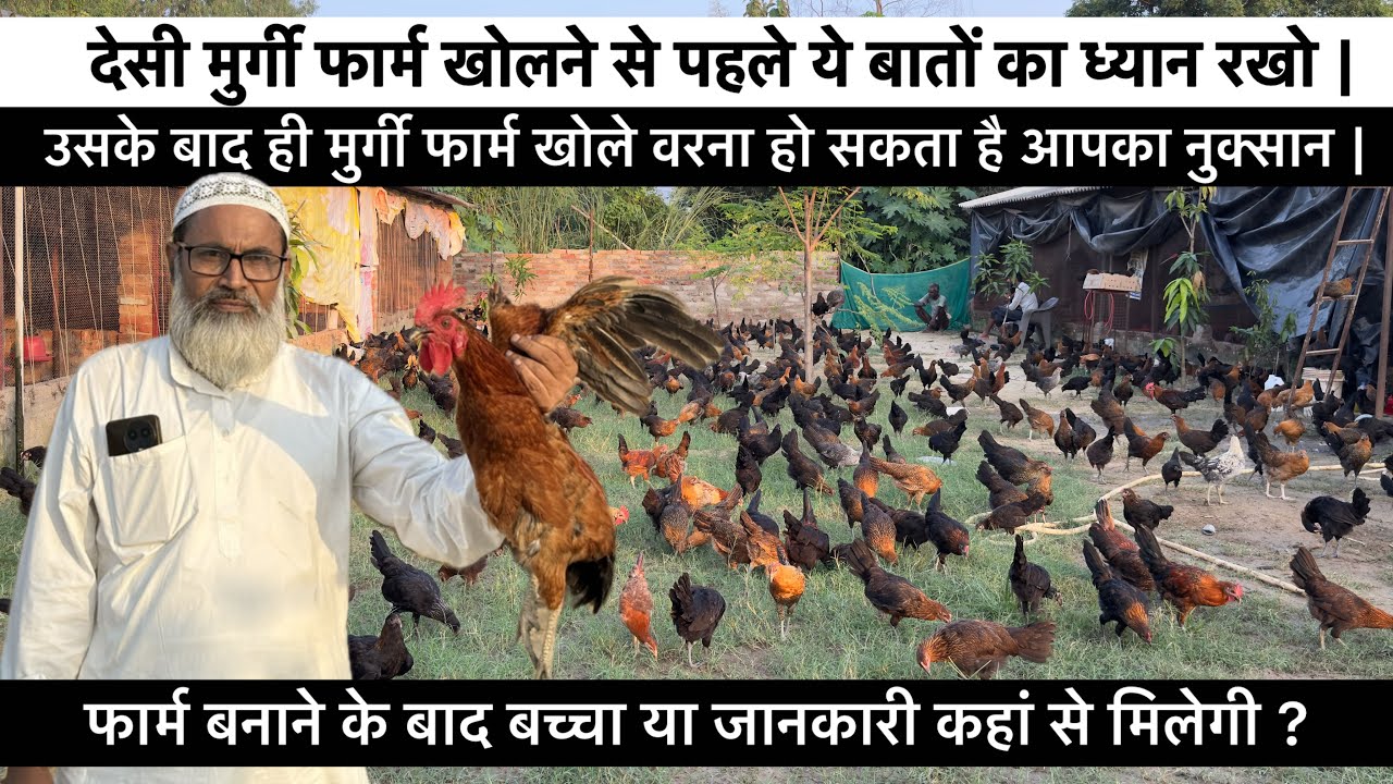 पोल्ट्री फार्म शुरू कैसे करें || मुर्गी फार्म की जानकारी कहां मिलेगी || How to Start Poultry farm 