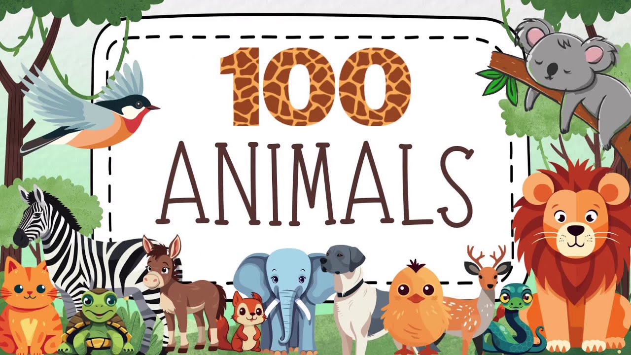 100 Animals Name In English || For Toddlers, Babies, and Kids | Educational Video 
