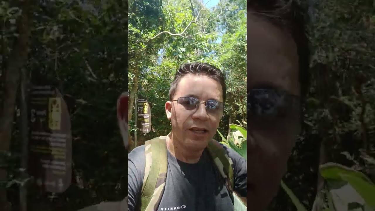 Parte 2 trilha do morro da urca rio de janeiro, natureza bela #natureza #caminhoparaumavidamelhor 