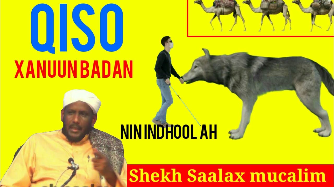 Qiso aad uxanuun badan  sheikh Saalax Macalin