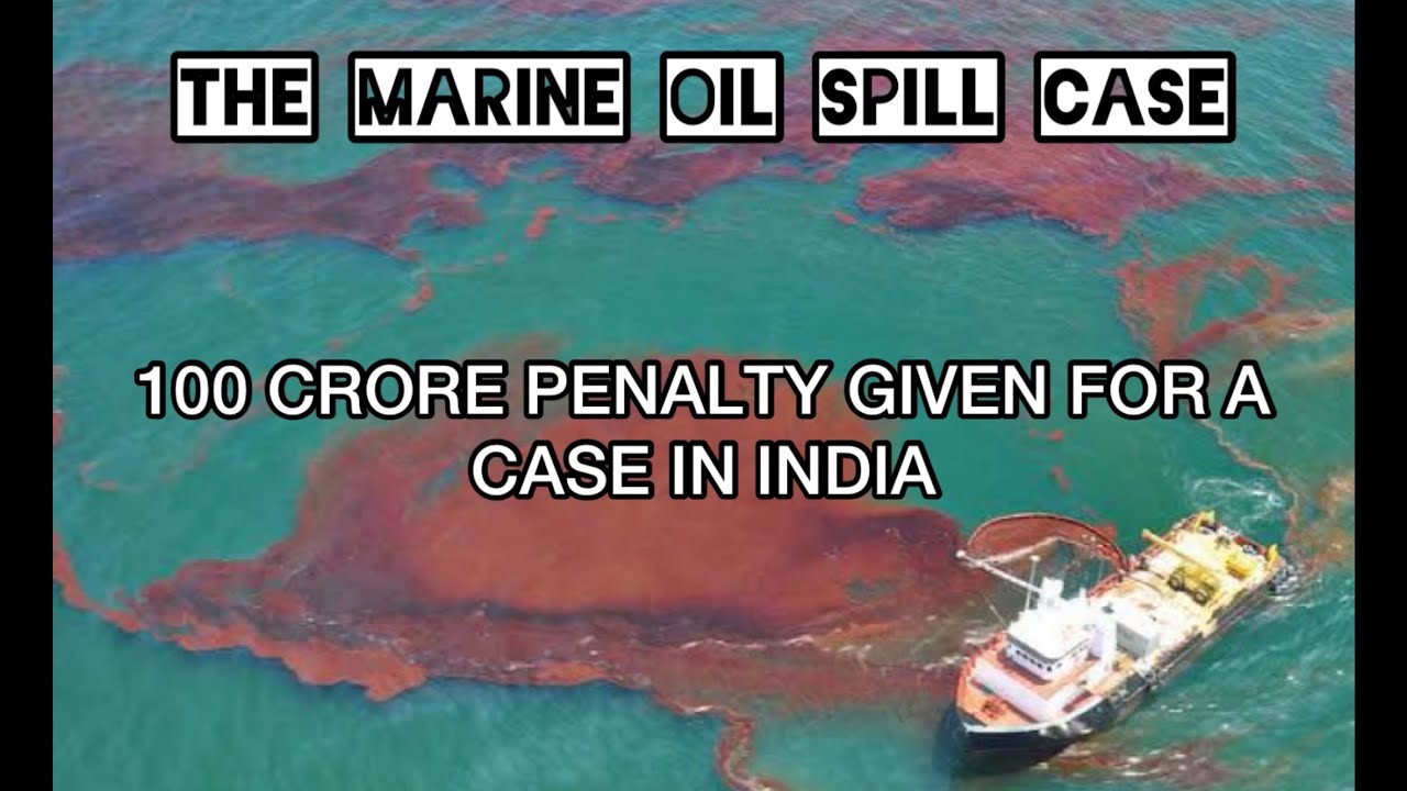 THE MARINE OIL SPILL CASE | LEGAL JURISPRUDENCE #environment #environmentalist #ngt #lawexams