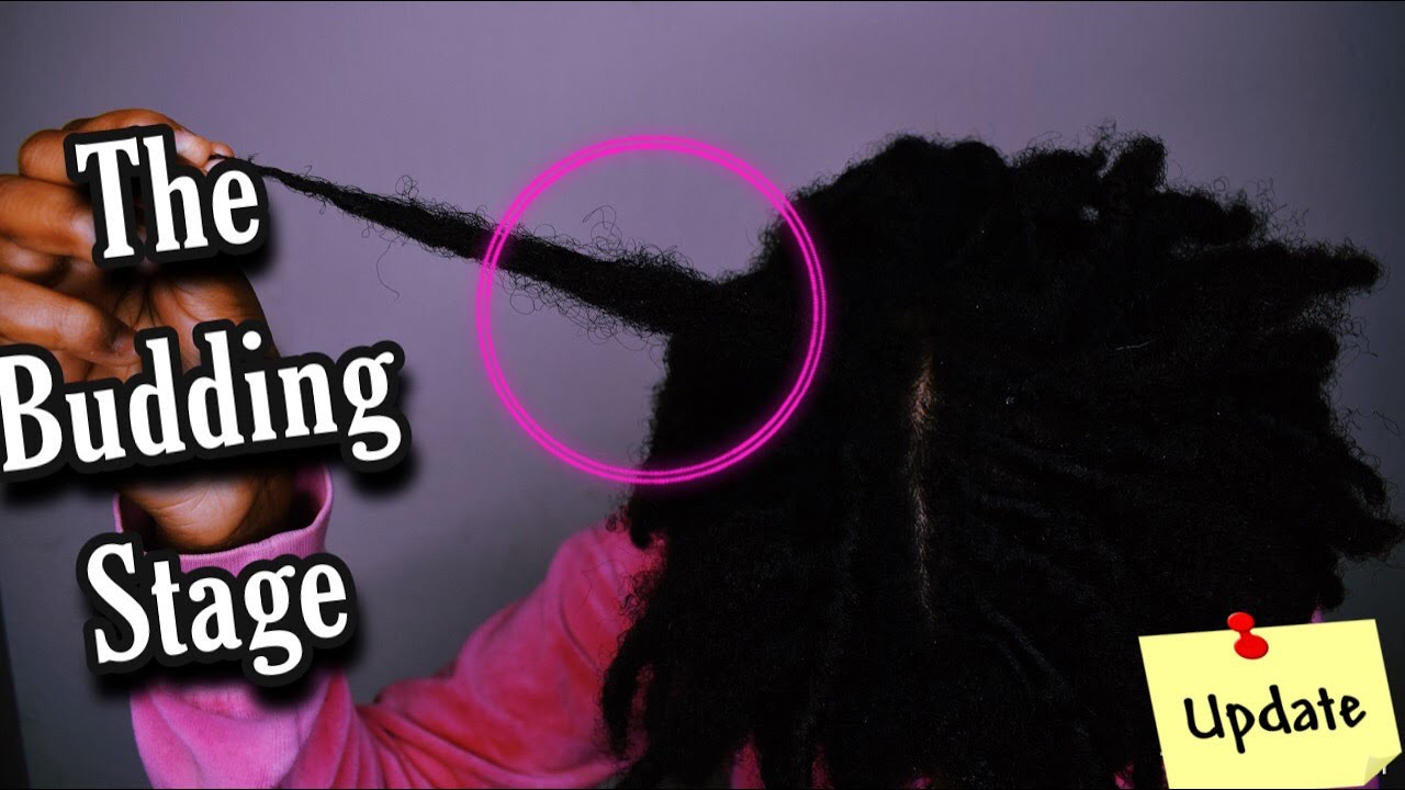 MY STARTER LOCS ARE BUDDING! (UPDATE)| 1 Month Loc'd| Coil Starter