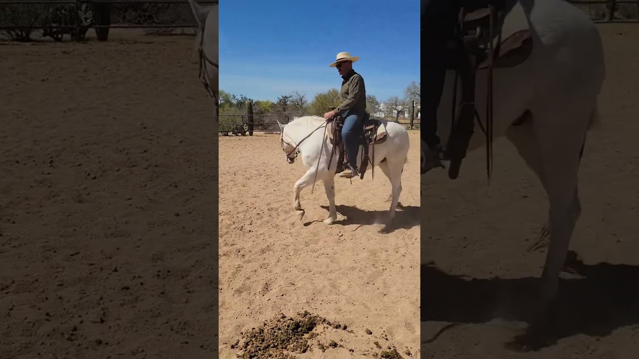 Tuesday Trainer’s Tip – Don’t Let the Buck Get Created