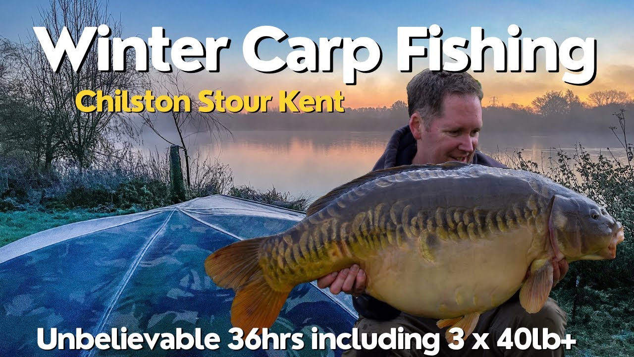 Winter Carp Fishing - Chilston Stour - Kent