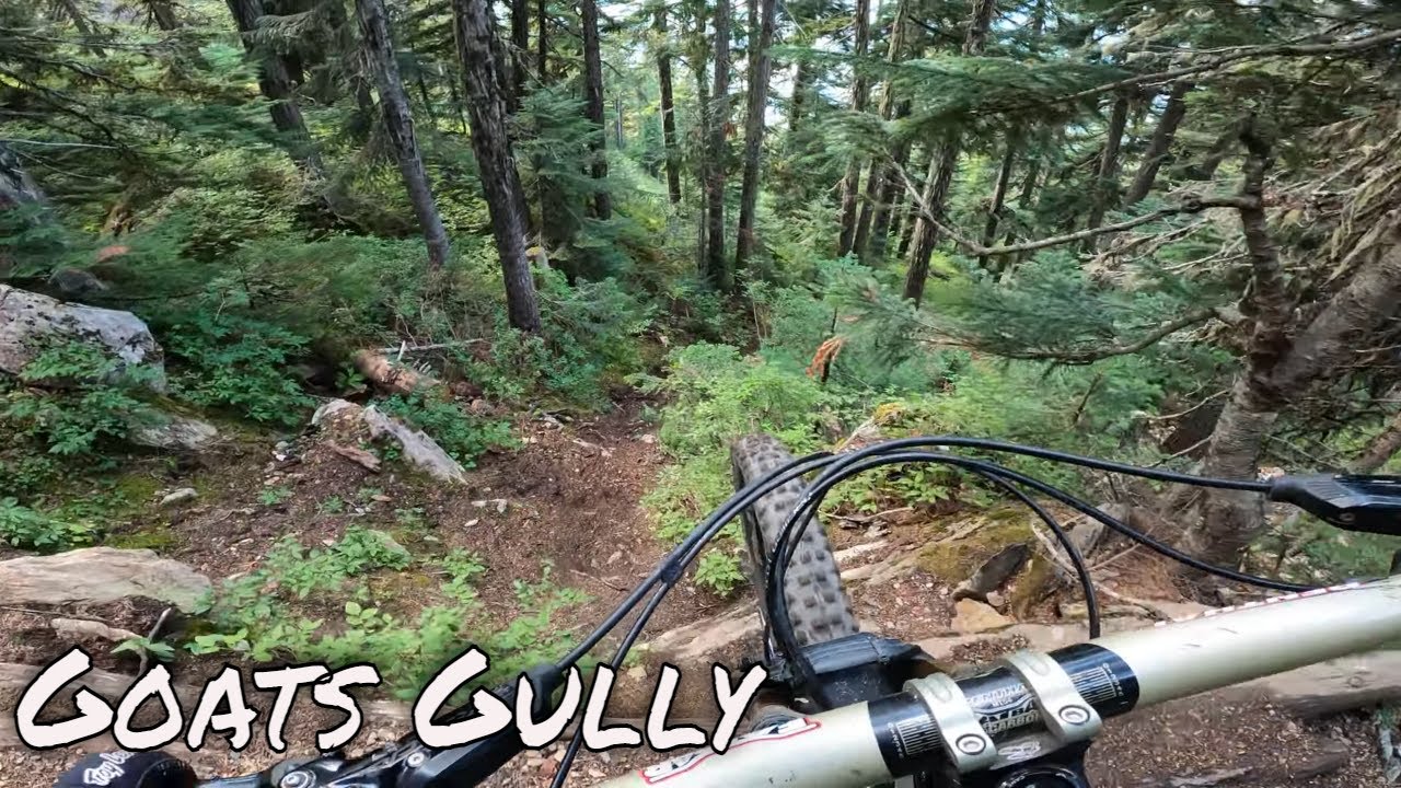 Raw Lap Of Goats Gully, Whistler Mountain Bike Park | MTB