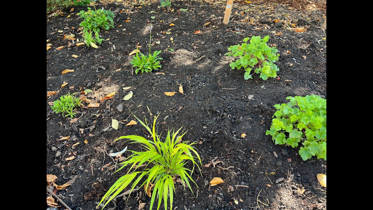 7 Essential Tips for Landscape Design (2024) #35