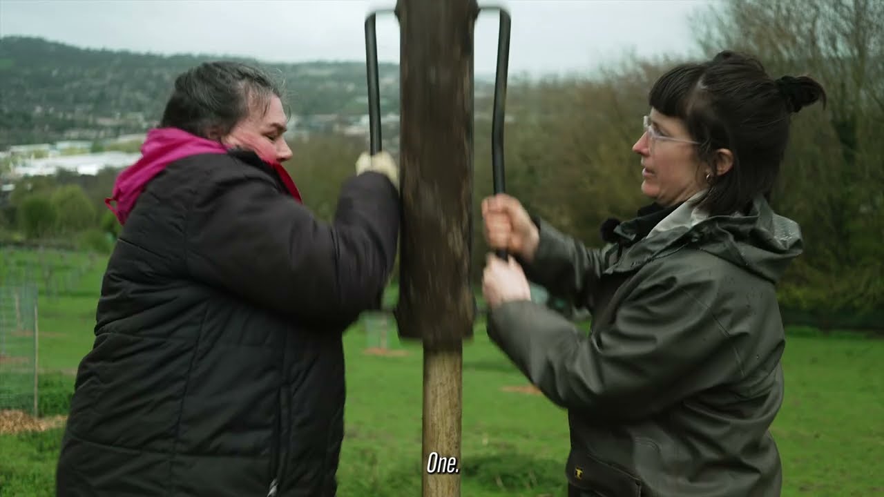 Planting trees with the Forest of Avon: Bath City Farm