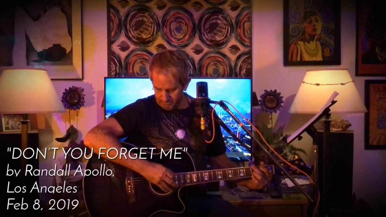 Don&rsquo;t You Forget Me by Randall Apollo
