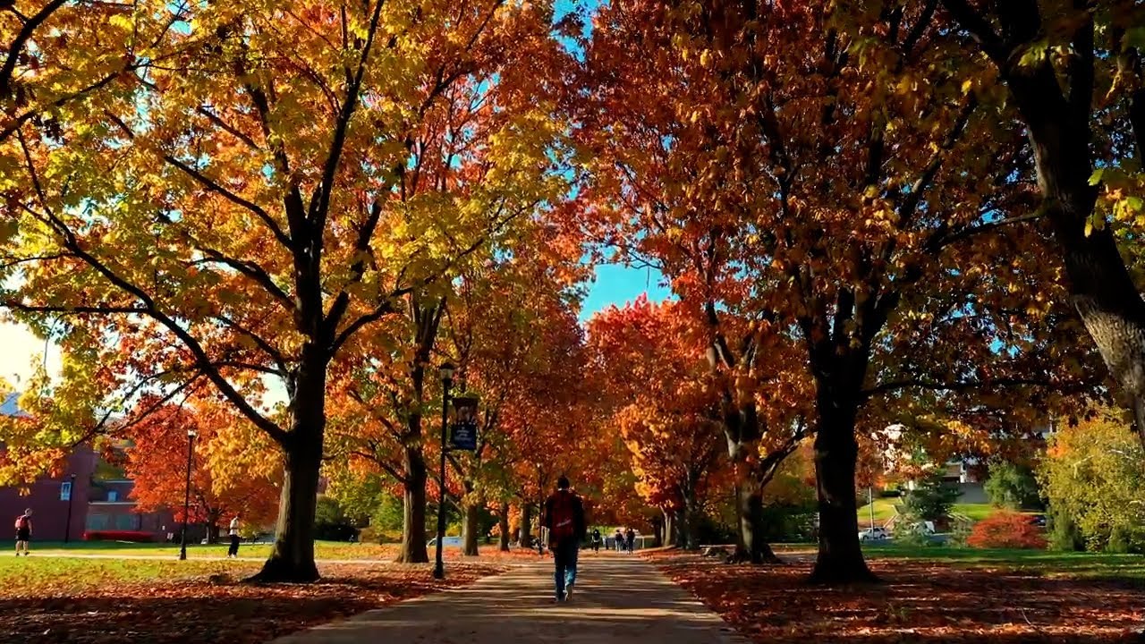 Explore the University of Kentucky Campus on a Perfect Fall Day