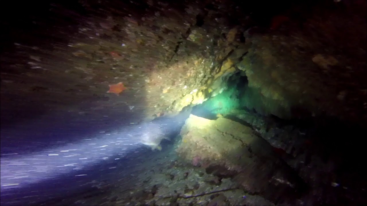 jueves  buceo nocturno
