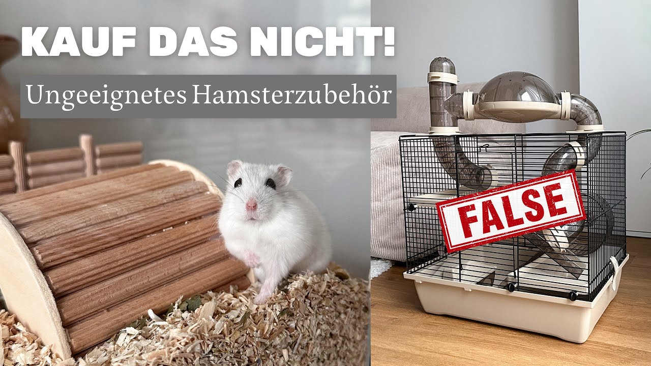 7 FEHLER in der Hamsterhaltung - Ungeeignetes Hamsterzubehör | Hamsterstübchen