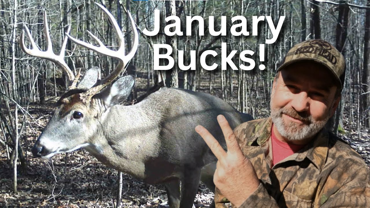 Monster Bucks of January | Did They Make It? | Last Trail Camera Videos of The Season