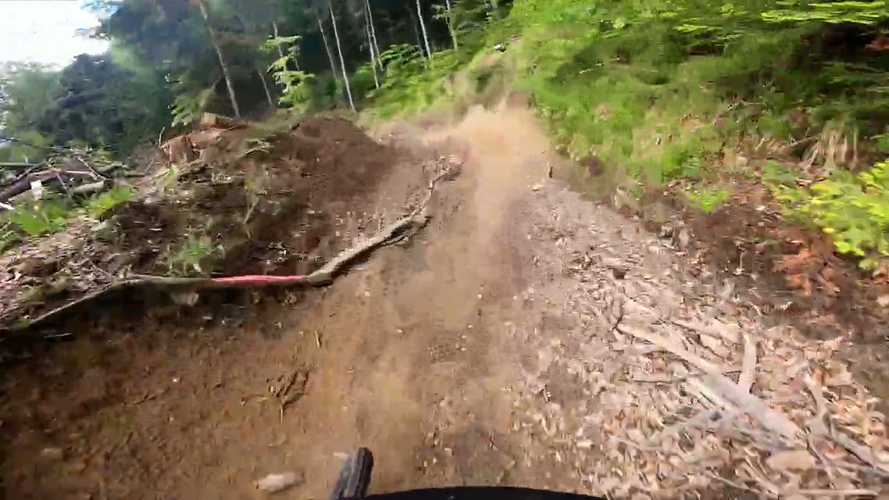 Hexentrail Freiburg ...back @ Hometrails