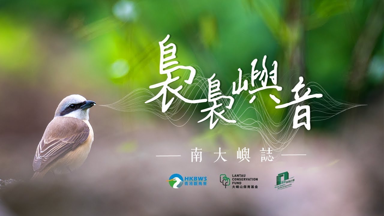 【南大嶼誌 (下)】裊裊嶼音 South Lantau Chronicle - Sounds and Tracks of Lantau Birds