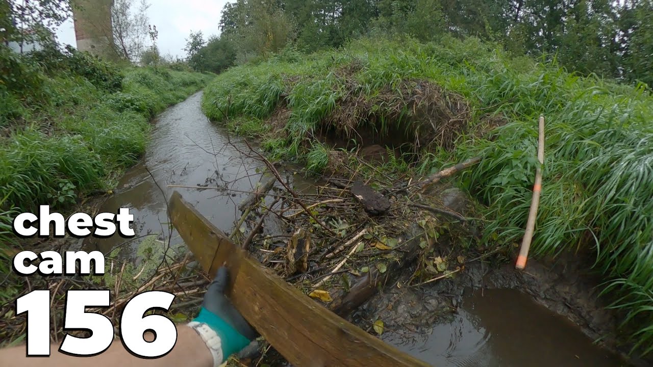 Big Log In The Middle Of The Dam - Manual Beaver Dam Removal No.156 - Chest Cam