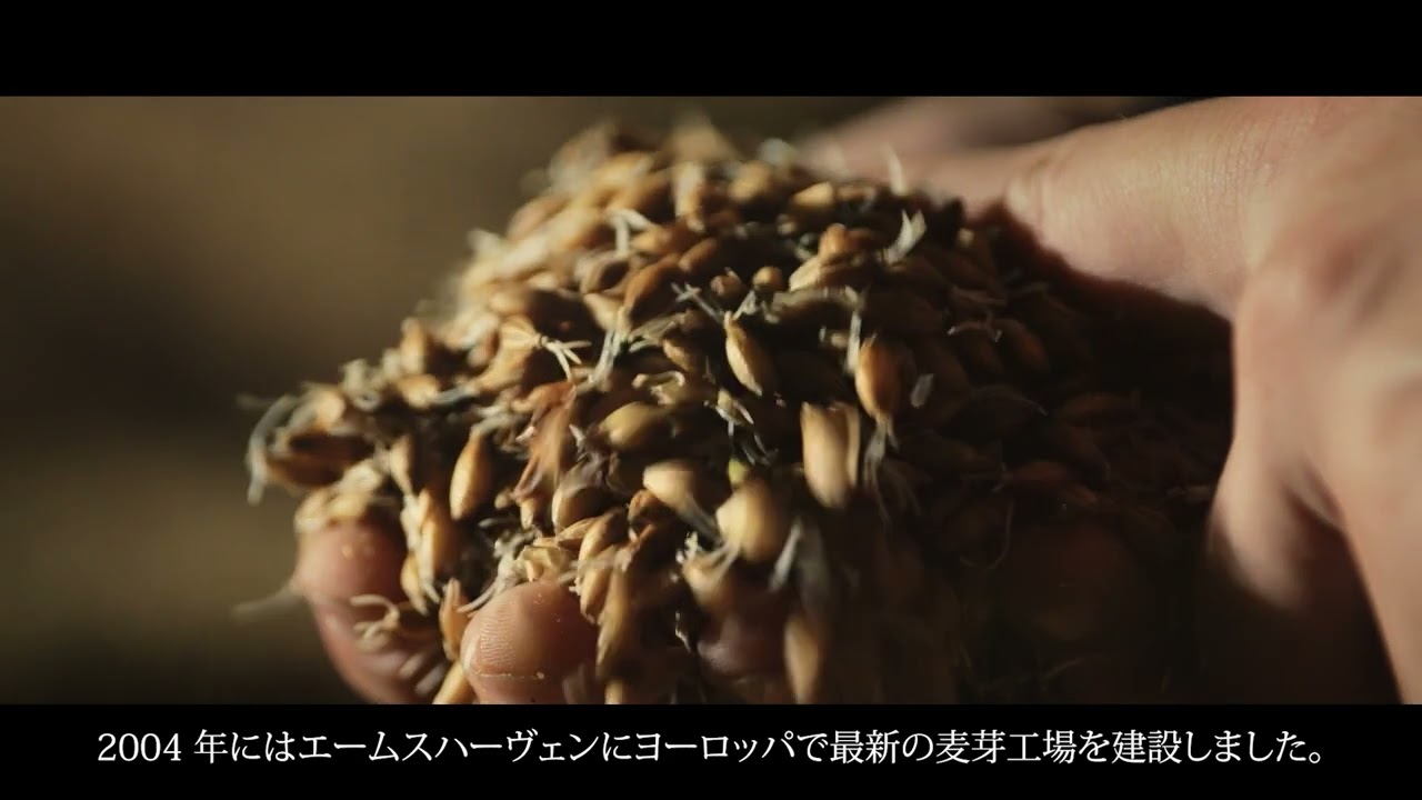 [JP] Holland Malt | ホーランド・モルトについて