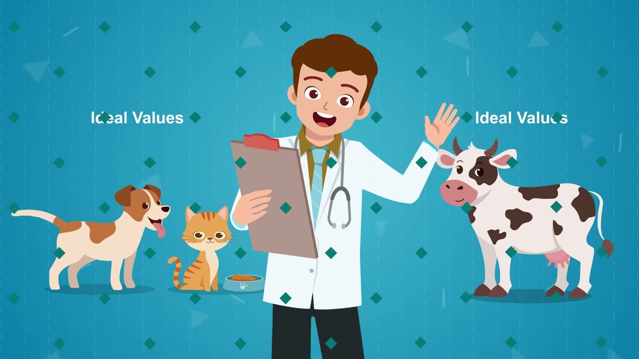 Centrivet GK Blood glucose & Ketone Monitoring System