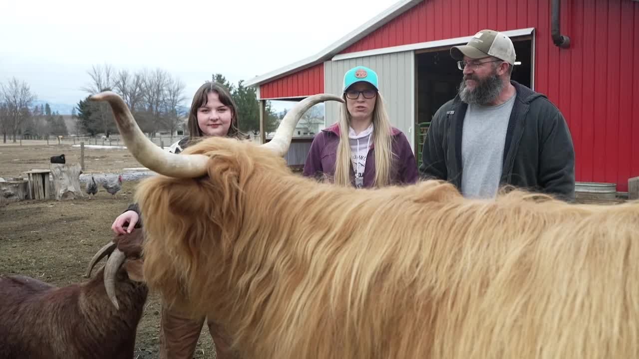 Montana Ag Network: Embracing nonsense at The Nonsense Ranch