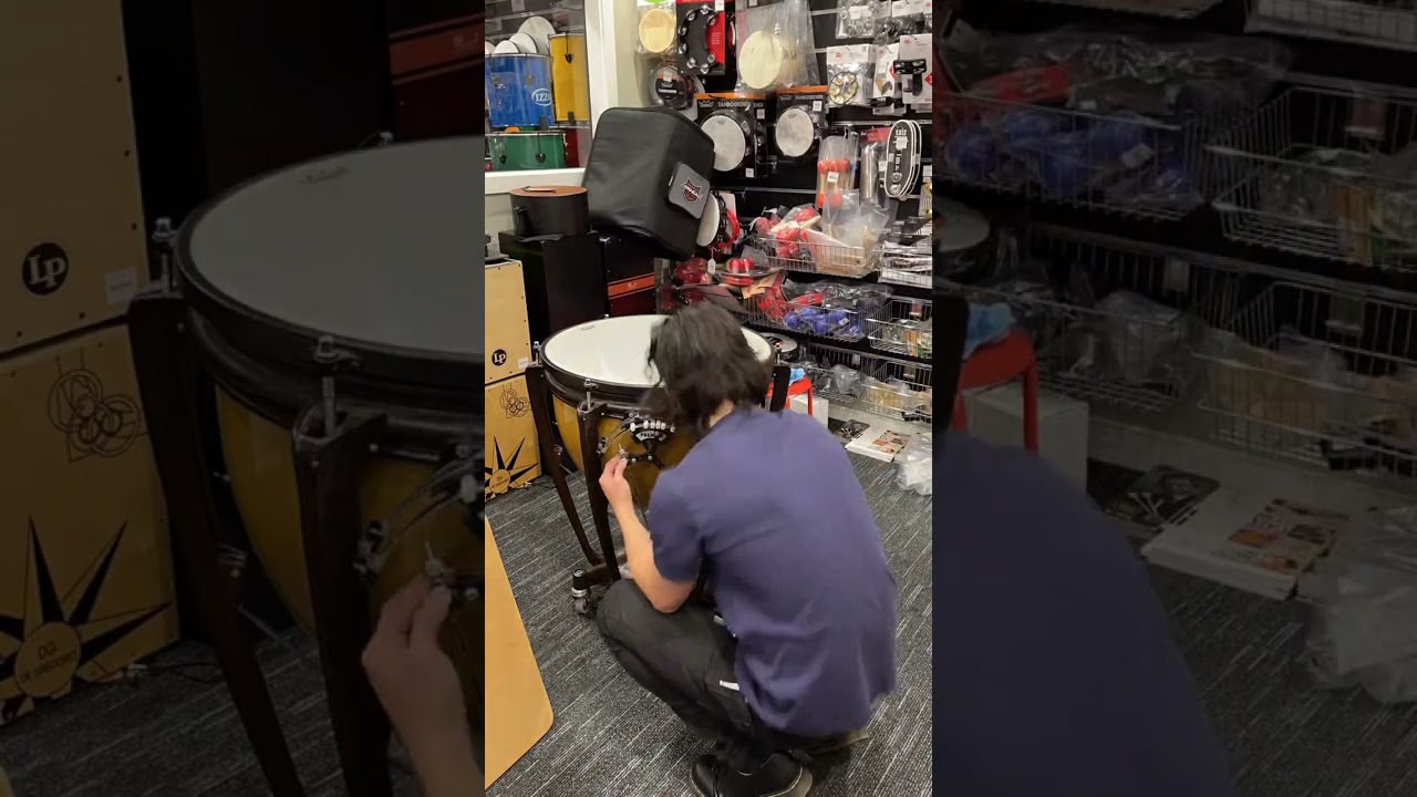 Timpani Repair