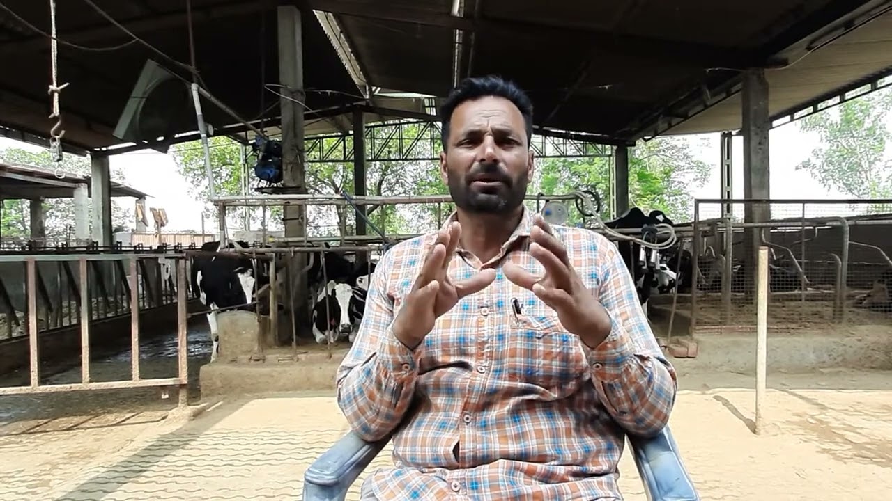 ਪਸੂ ਗੱਭਣ ਨਾ ਰਹਿਣ ਦੇ ਕਾਰਨਾ ਵਿੱਚੋ ਇੱਕ  ਕਾਰਨ part 2