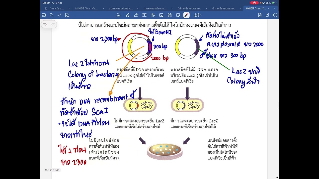 4/13-14,16 การตัดต่อยีนและการตรวจขนาด DNA