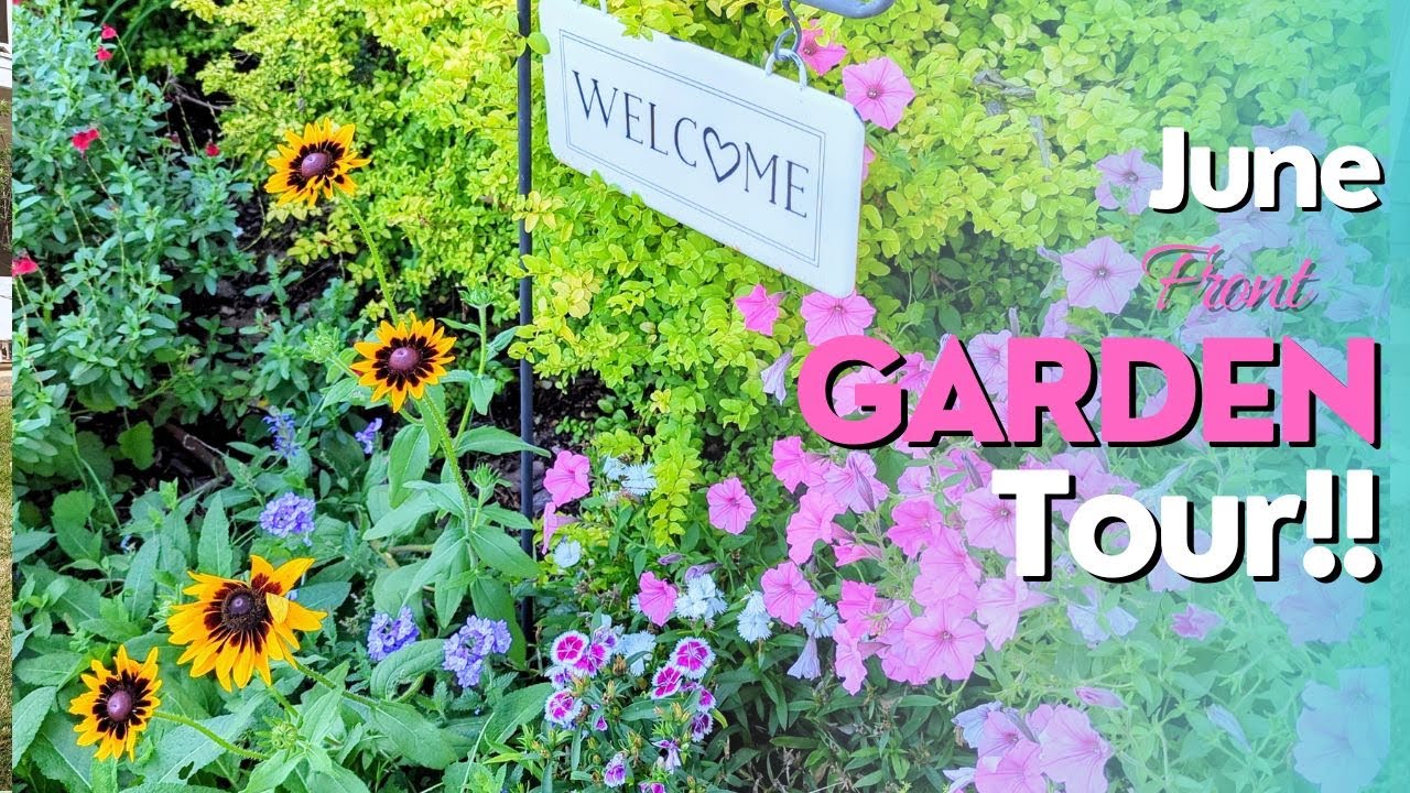 June Garden Tour! Front Garden is At It's PEAK With Blooms & Color! #northtexasgarden #summergarden