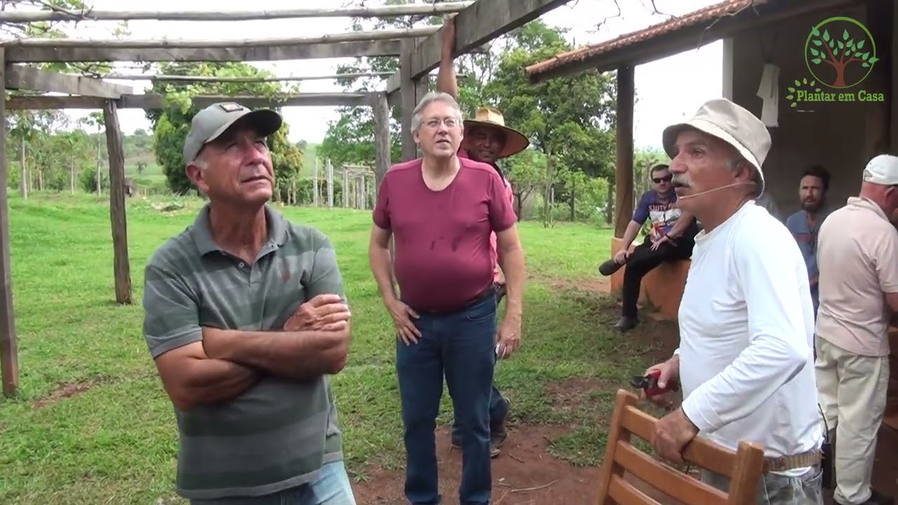 Parreira não brotou, fazer a Repoda com Sergio Semerdjian aula em Franca SP