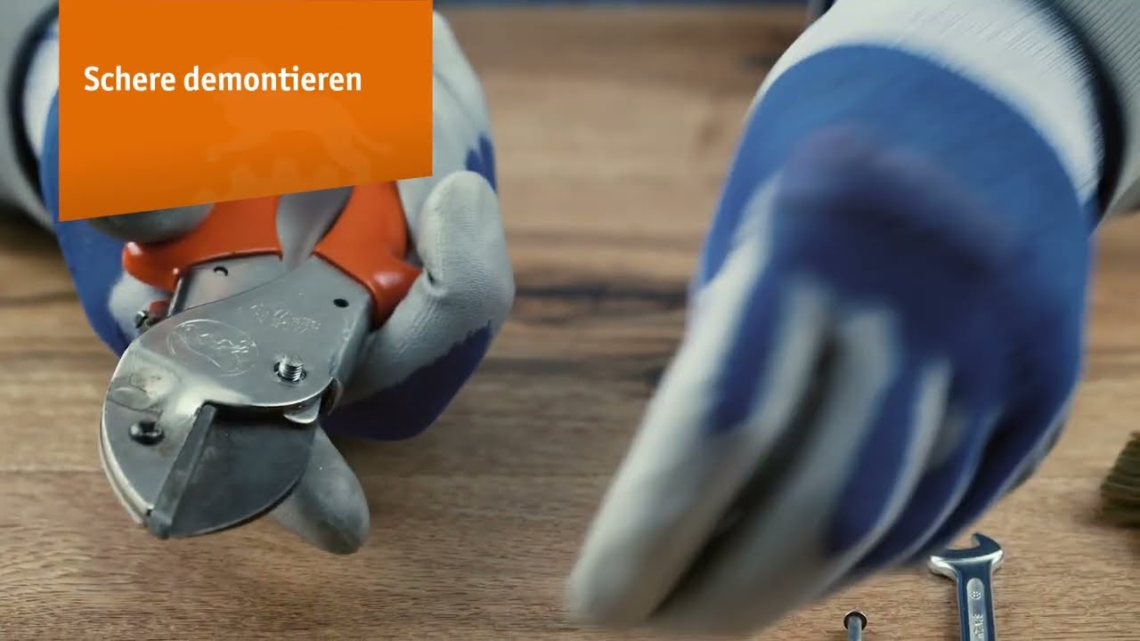 Original LÖWE-Scheren der CLASSIC-Serien pflegen und reinigen