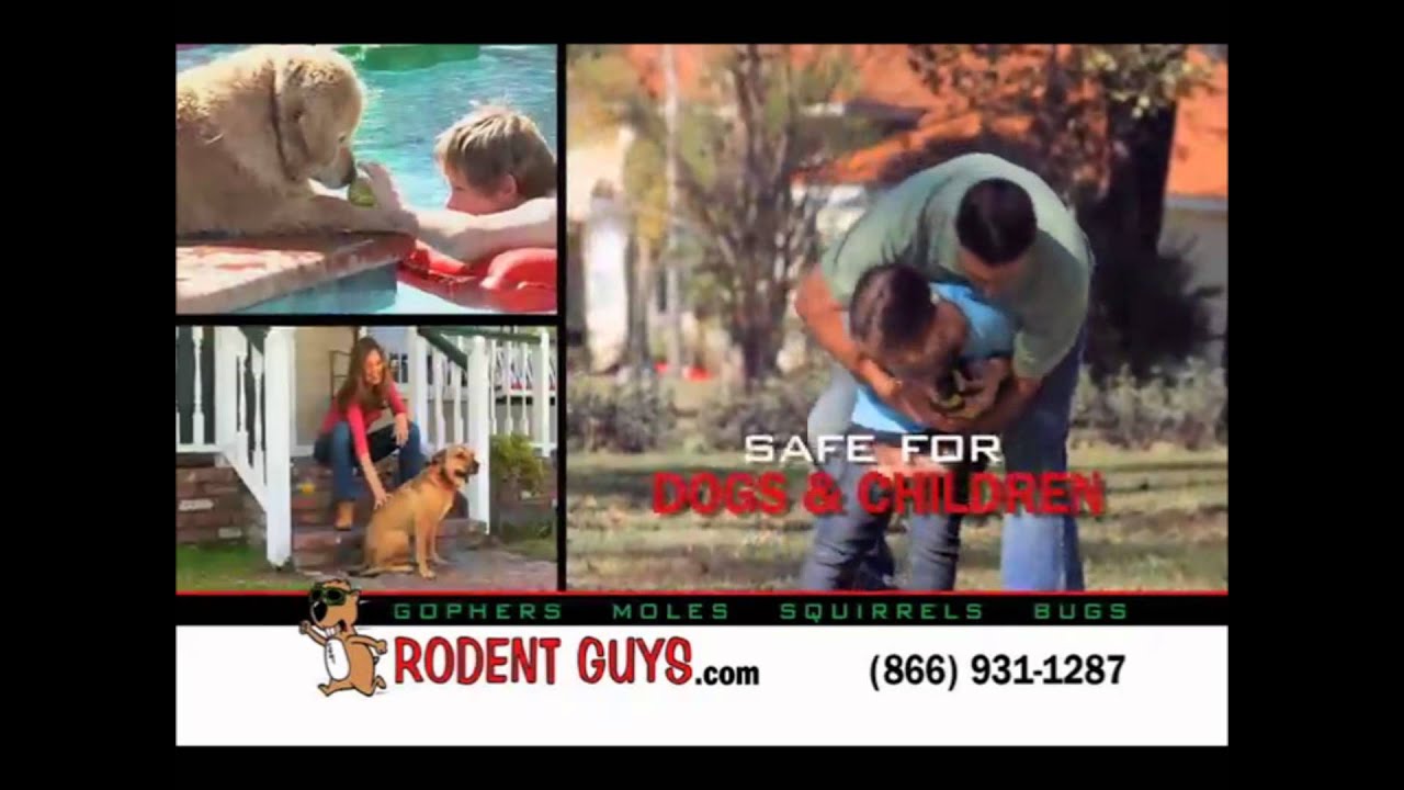 Montclair Gopher Control and Removal | Los Angeles Riverside Ventura Orange San Bernardino