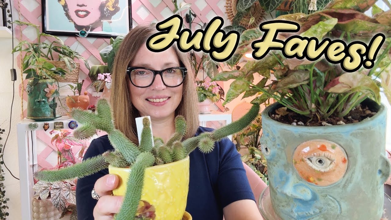 July 2025 Favorite Houseplants and Planty Things | Sooo Many Good Ones | Plants Planters