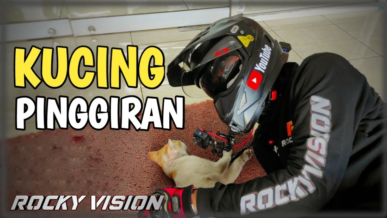 Kasihan Sekali Kucing Ini Terlantar Menunggu Orang Berbelanja Untuk Meminta Makanan | Motovlog Bali