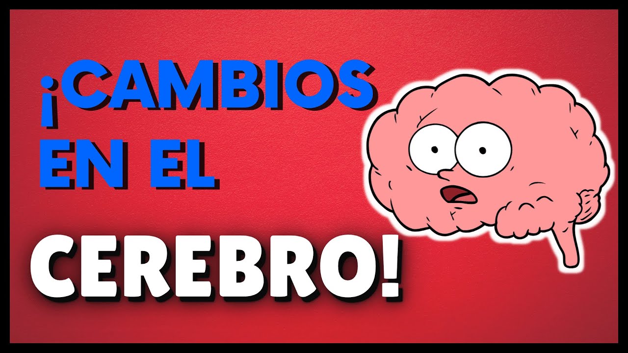 ⛔ ¿Cómo Afecta el TRAUMA al CEREBRO? 🧠