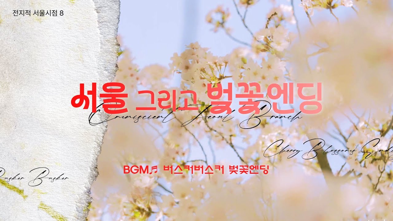 [4K Drone ✈] 하늘에서 본 서울의 환상, 벚꽃🌸엔딩  | 드론이 발견한 풍경 (BGM: 버스커버스커 - 벚꽃엔딩) [전지적 서울시점 시즌8]
