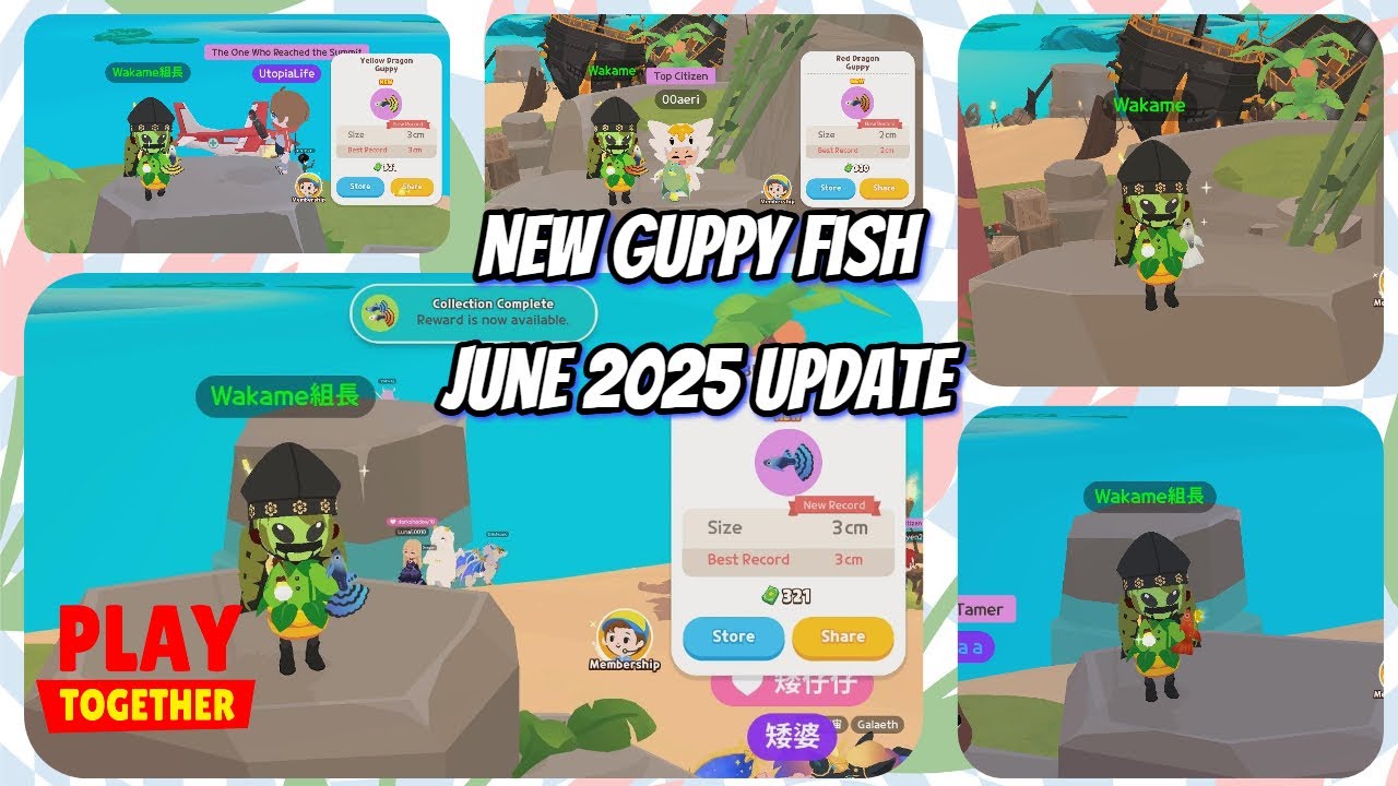 All New Gupyy Fish | Play Together