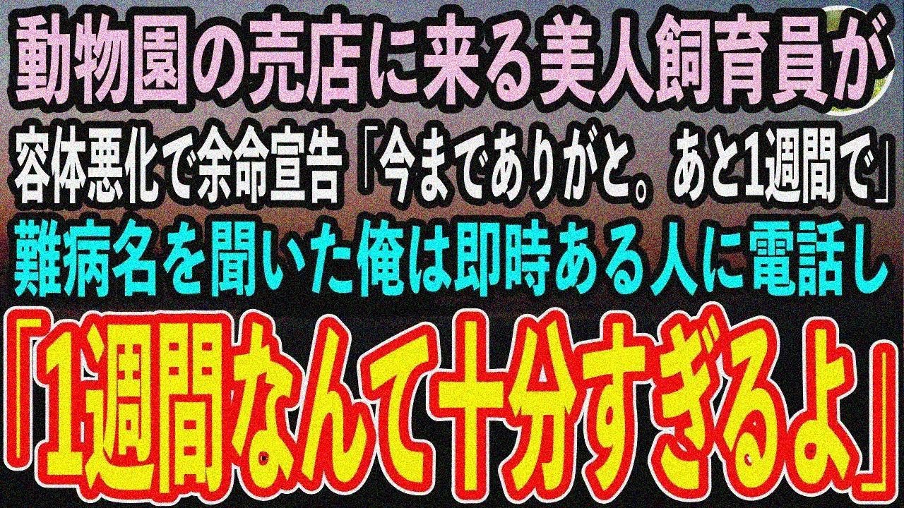 【感動する話】訳あって動物園の売店で働く元医大首席の俺。余命宣告された美人飼育員のピンチを 救うと「あなた一体何者なの？」俺が正体を明かすと…【泣ける話・いい話・朗読】