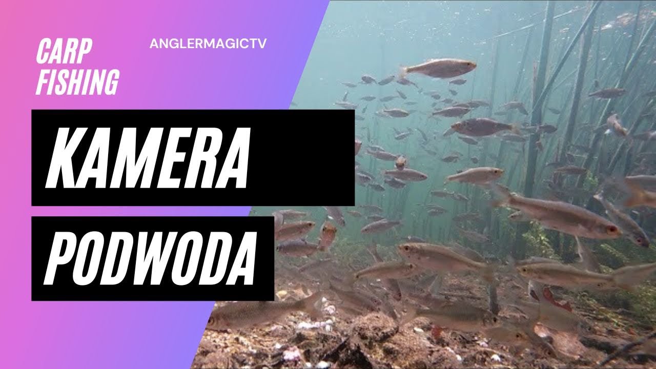 Drobnica W Akcji / Underwater Camera.