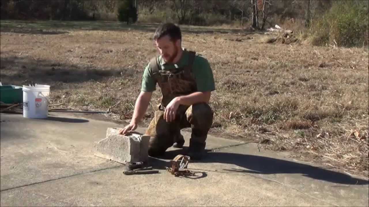 Beaver Trapping with Legholds & Drown Sets 2/5
