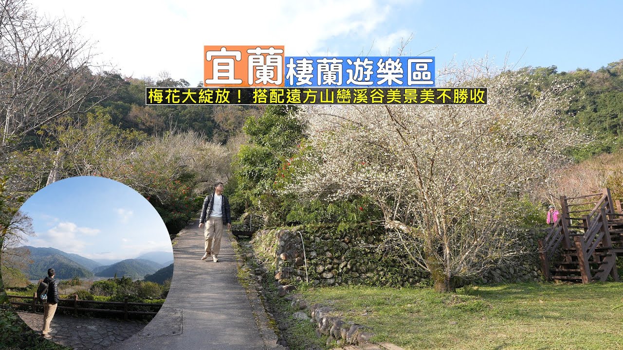 宜蘭也有大片雪白梅花可以看，就在棲蘭遊樂區！帶你走入園區呼吸新鮮空氣及享受山巒溪谷美景