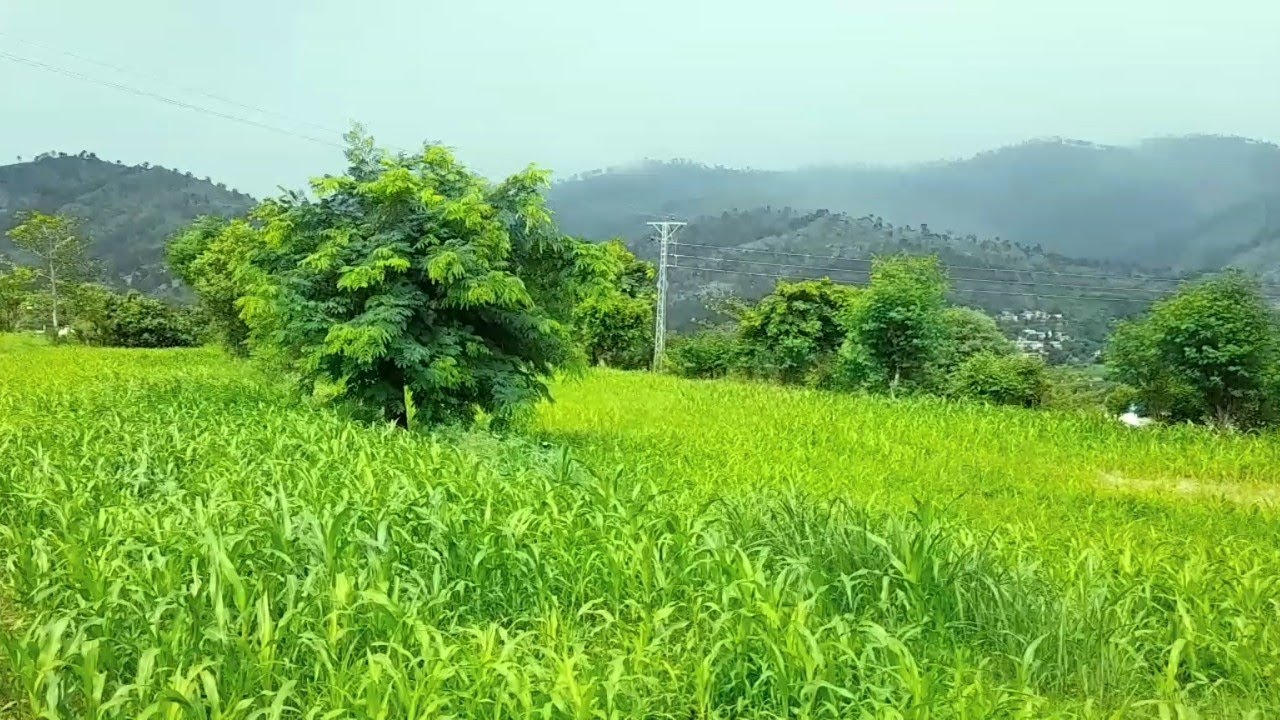 Azad Kashmir sehnsa chatran