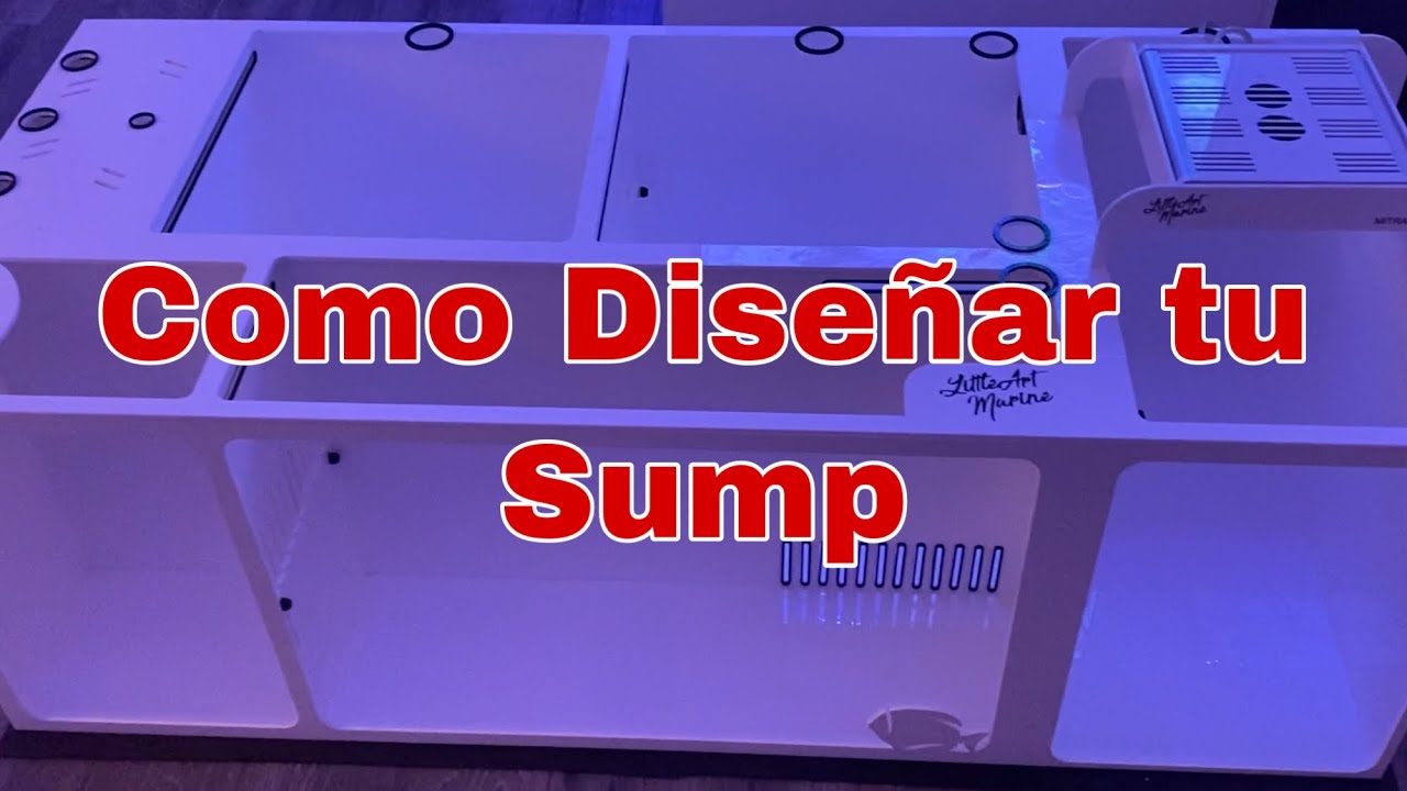 Cómo Diseñar Tu Sump para un Acuario Marino