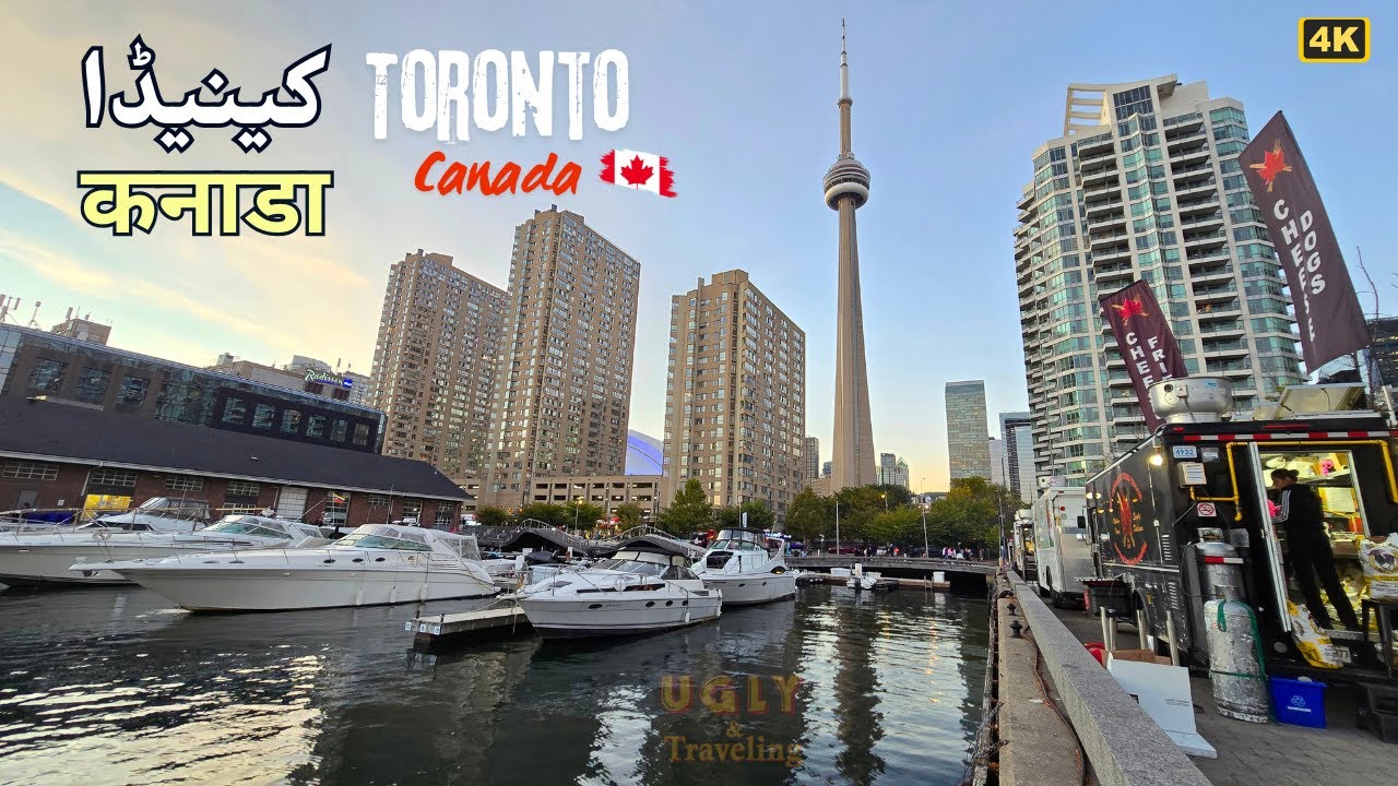 Toronto Harbourfront's Best Kept Secrets You Need to Know About!