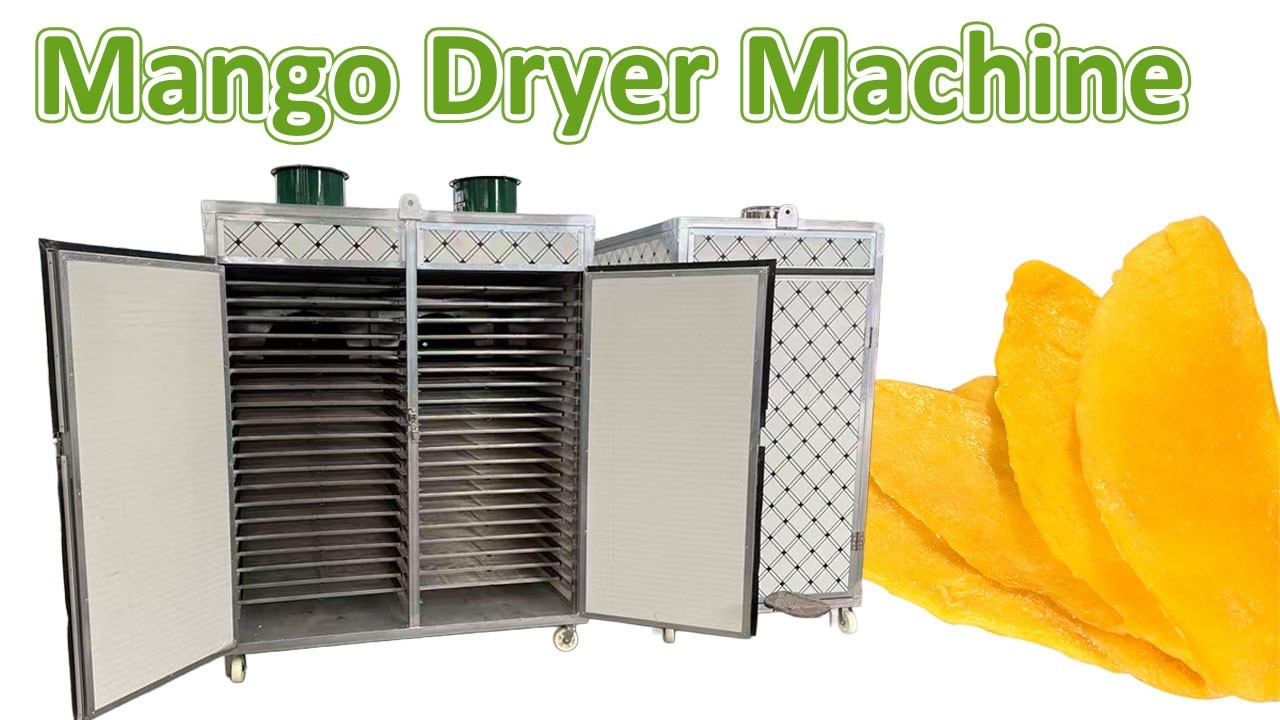Mango Dryer Machine | Heat Pump Fruit Drying Solution for Dried Mango Production