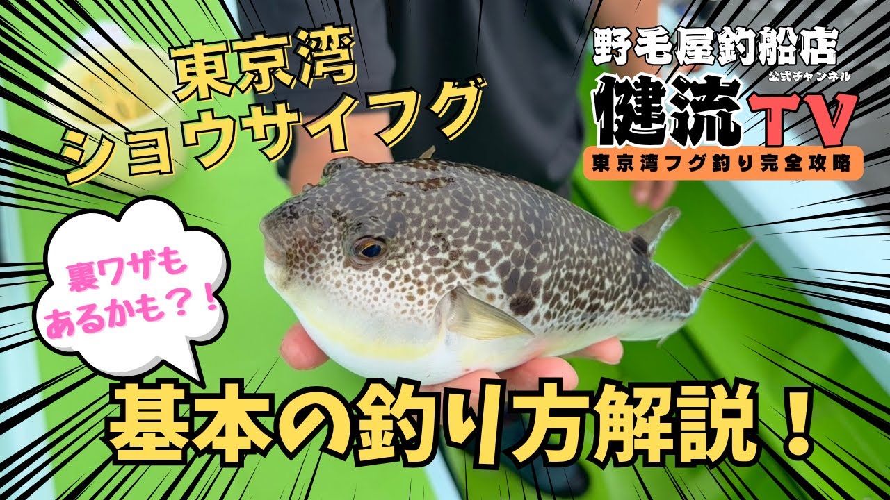 ショウサイフグ・アカメフグの基本の釣り方！