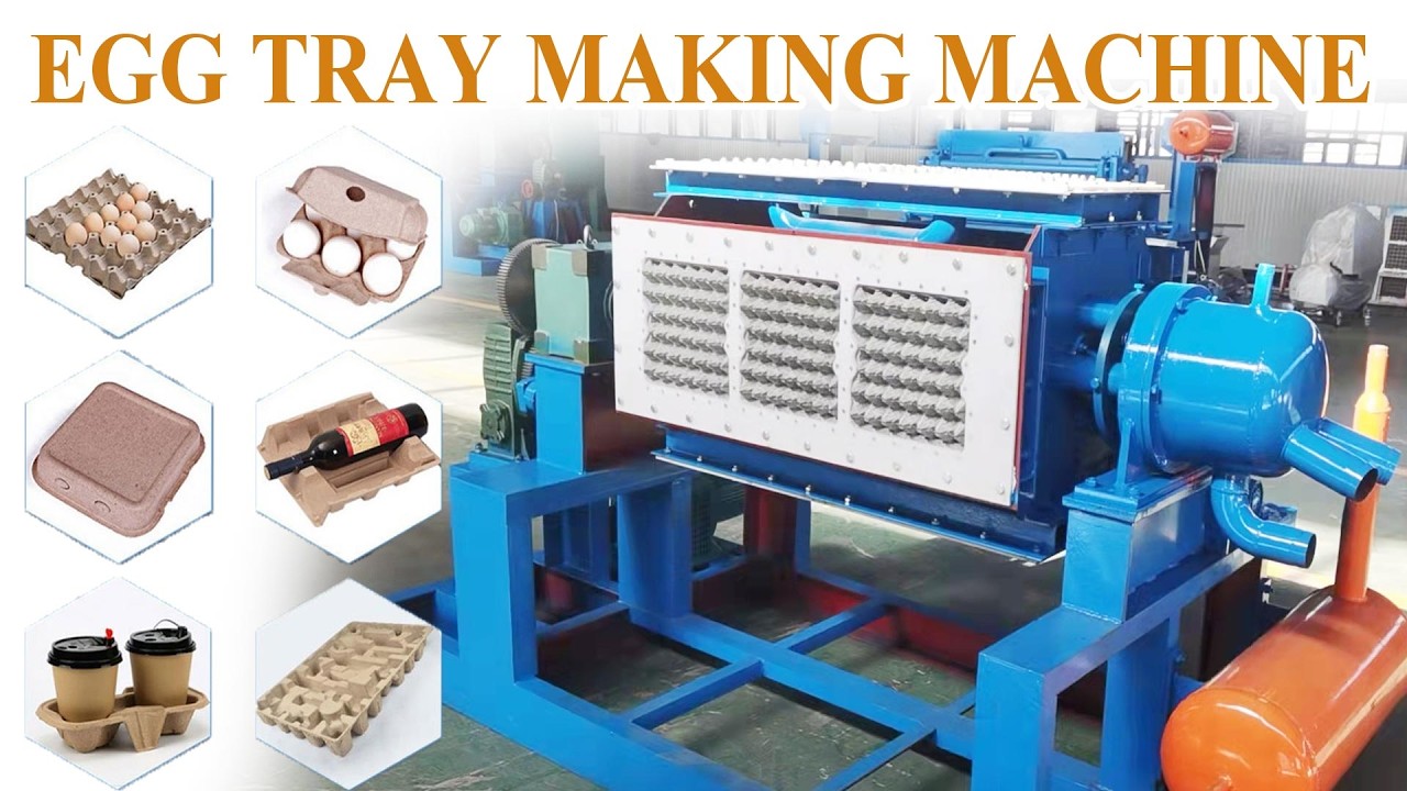 Industrial Egg Tray Making Machine | Eco-Friendly Packaging Solution #egg #eggtray #paper #recycle