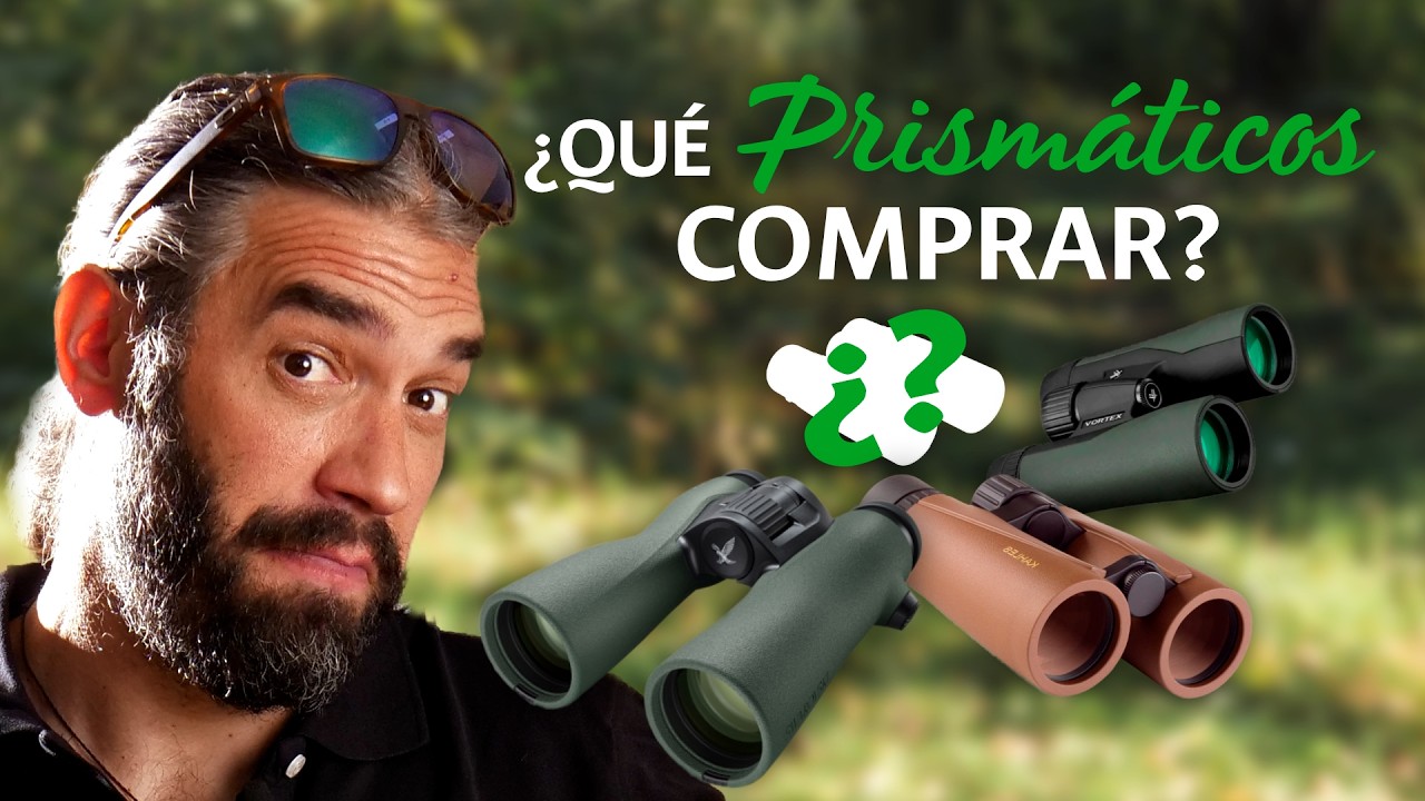 ¿Qué PRISMÁTICOS comprar? | Guía Definitiva