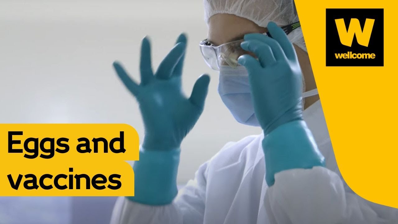 This egg could save your life | Wellcome