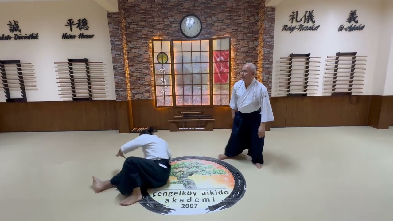 Aihanmi Katetedori Sokumen İriminage | Yetişkin Aikido | Gen&ccedil; Aikido |